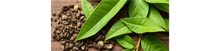 Tea Time for Your Skin: The Antioxidant Ritual for a Balanced Glow