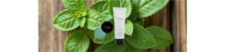 Why Your Skin Needs a Minty Fresh Exfoliation Routine