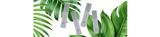 The Science of Hydration: How Our Oil-Free Daily Moisturizer Keeps Skin Plump